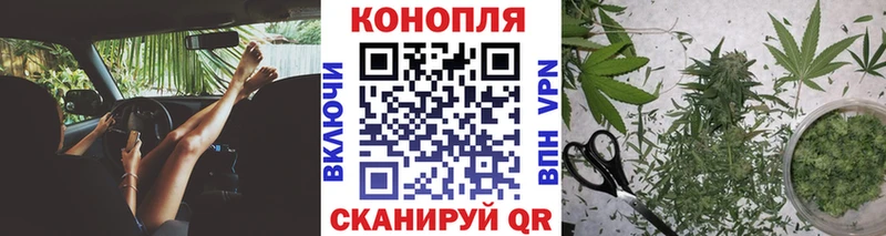 Купить  Дальнереченск  Бошки марихуана план 